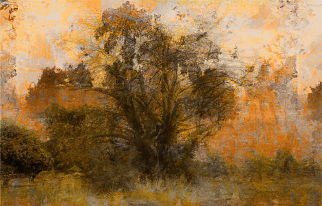 „arbre de la vie I“, Pigmentdruck, Leinwand auf Holzmalgrund, 50 x 30cm.  Preis auf Anfrage 