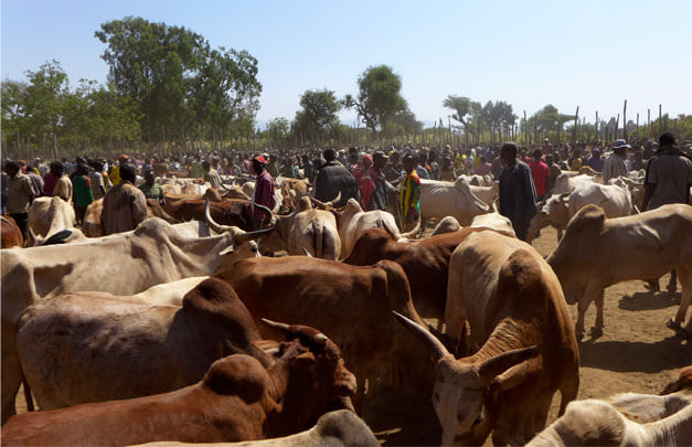 Markt bei Gidole, Äthiopien 2015